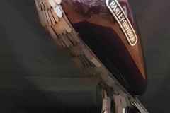 Harley Eagle - COLNICdesign.com