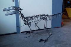 Raptor dinosaurus - COLNIC Design